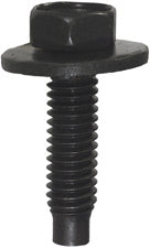 BODY BOLTS
