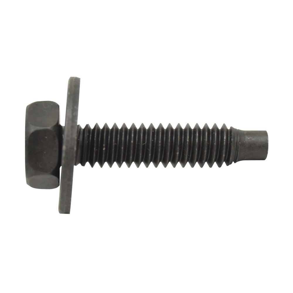 BODY BOLTS