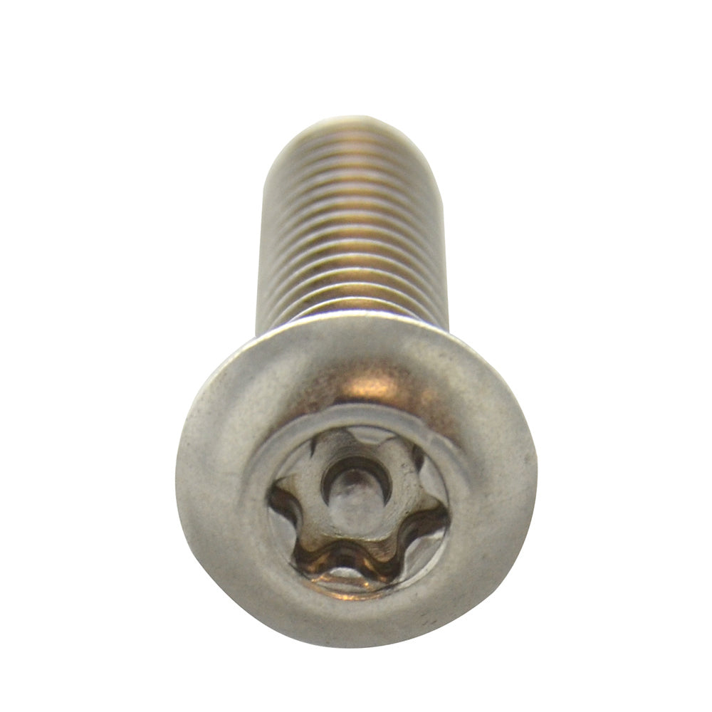 TAMPER RESITANT MACHINE SCREW