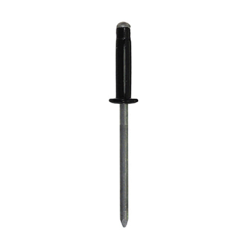 SPECIALTY AUTOMOTIVE RIVETS