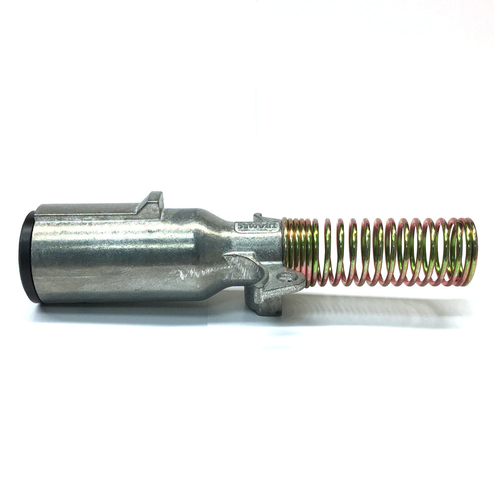 Dual Pole Plug Assembly With Springs