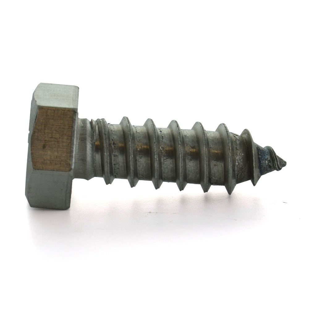 1/2-6 x 6 Inch Plain 18-8 (A2) Stainless Steel Hex Head Lag Screw