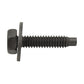 BODY BOLTS