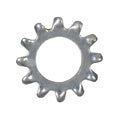 1/4 Inch Zinc Steel External Tooth Lock Washer
