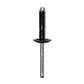 SPECIALTY AUTOMOTIVE RIVETS