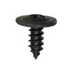 SCREWS & CAPS