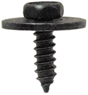 SCREWS & CAPS