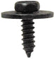 SCREWS & CAPS