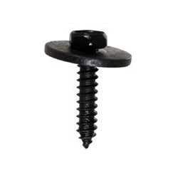 SCREWS & CAPS