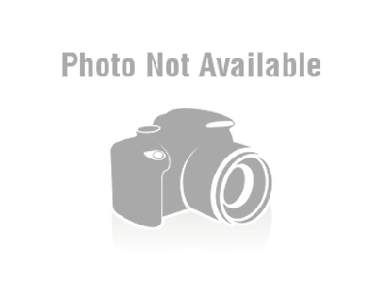 Winzer Self-Etching Primer Black - 15.5 oz