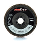 FLAP DISCS