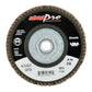 FLAP DISCS