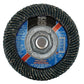 FLAP DISCS
