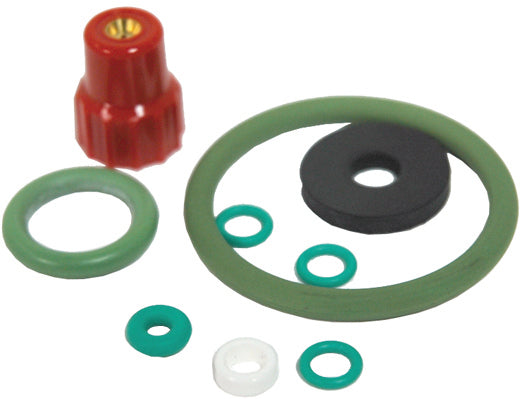 Replacement Kit For 1 Liter Pro Pump And Spray With Viton Seal