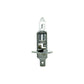 VEHICLE BULBS