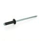 4.0 mm - 7.9 mm (.158 Inch - .311 Inch) Grip Front & Rear Bumper Specialty Rivet - Hyundai/Kia
