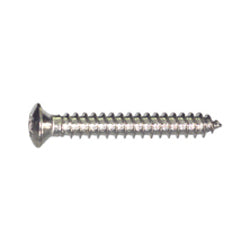 M4.2 x 20 mm Chrome Type Ab Torx Oval Head Tapping Screw