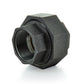 1/8" Schedule 40 Female NPT Black Welded Malleable Iron Ground Joint Union USA