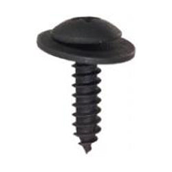 M4.8 x 19 mm Black Phillips Truss Head Tapping Screw
